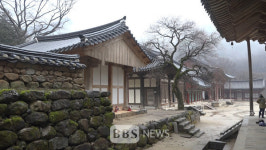 천년고찰로 홍매화 촬영 오세요...지리산 화엄사, 휴대폰 사진 콘테스트