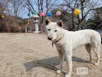 남양주 천마산 해인선원 해인삼매 정신으로 기도 성취