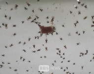 경북도, 동해안 황금어장 복원 속도낸다