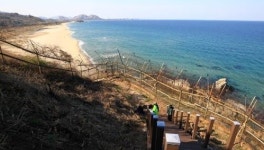 軍, '오리발 귀순' 22사단 AI 경계시스템 구축...8군단 해체 연기