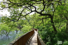 김선권 여행작가, 삼기저수지 등잔길서 청정 기운 느낀다