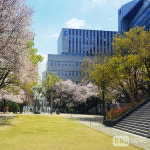 부산 최초 전문대학 경남정보대학교, 위기 탈출 대대적 혁신