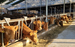 전남농업기술원, 축산농장 자연재해 피해 최소화