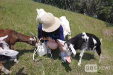 김선권 여행작가, 몽토랑 산양목장…아이들 체험 콘텐츠 한가득