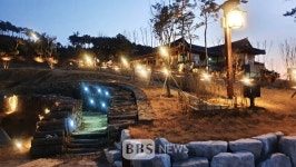 영천 한의마을 한방테마거리 야간 개장