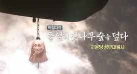 한국불교 대율사 자운스님 특집 다큐 뜰 앞의 잣나무 숲을 덮다