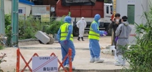 아프리카돼지열병 석달여 만에 재발…강원 고성 돼지농장서 확진