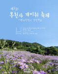 문경 봉천사, 추석 연휴 마지막날 개미취 꽃축제 열어