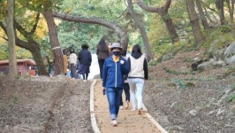 창원 성주사 황토 숲길 조성...사찰-지자체 시민 위한 한마음