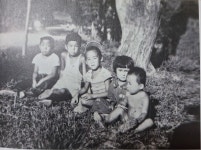 소양강댐으로 수몰된 춘천 38개 마을...49년만에 부활
