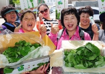 양구 곰취축제 3년만에 개최...5월 5일~8일까지 레포츠공원 일원