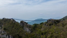 김선권 여행작가 하동 형제봉 출렁다리… 산길 접어들며 가는길, 야생화 찾는 재미도 쏠쏠