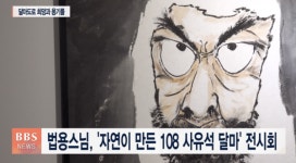 달마도 대가 법용 스님, 자연이 만든 108 사유석 달마 전시회