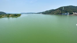 대구환경청, 낙동강 칠곡보·강정고령보 조류경보 관심 재발령