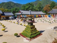 법보종찰 해인사 오색국화 향연...1220주년 개산대재  개막
