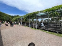 제주자치경찰, 산림 무단 훼손 관광목장 운영자 구속영장 신청