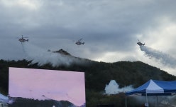 삼척 동막리 산불 4시간여만에 진화 완료...산림 피해 조사 중