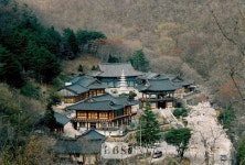 광양 성불사, 문화관광부 전통 사찰 지정