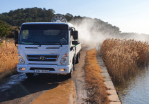 제주 하도 철새도래지서 조류인플루엔자 검출...올 겨울 3건 발생