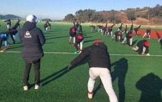 고흥군 동계 전지훈련지 각광