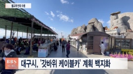 대구시, 갓바위 케이블카 계획 백지화