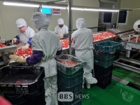 고령 딸기, 농촌 융복합 산업지구 공모 선정