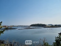 제주 서귀포 성산읍 오조리 연안습지 보호구역 지정해야