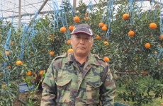 제주 1등 천혜향, 서귀포시 대정읍 임군오 씨 수상