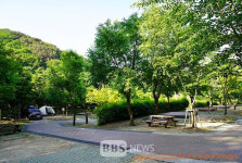 숲속의 안식처 팔공산 야영장 3곳 개장