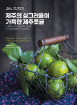 제주풋귤, 신청 농가 급증...농약검사비 등 지원