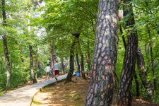 김선권 여행작가 영월 청령포, 단종의 자취 곳곳‧관음송 가지 사이 애달픔 절절