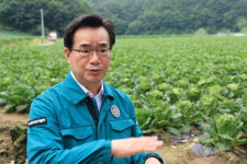 정황근 장관, 여름 배추.무 생산 현장 점검...잦은 강우 등으로 생육장애 등 우려