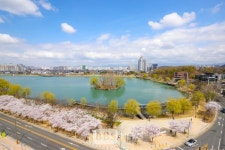 수성구, 대표 관광지 수성못을 현수막 제로 지대로