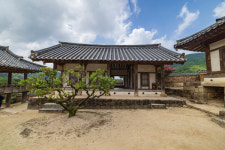 김선권 여행작가 배롱나무꽃 만개한 안동 병산서원, 병산의 푸른절벽이 병풍처럼 펼쳐지네