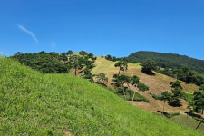김선권 여행작가 고령 지산동 고분군... 대가야 문화 생생, 500년의 숨결 살아있어