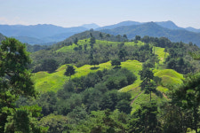 김선권 여행작가 고령 지산동 고분군... 대가야 문화 생생, 500년의 숨결 살아있어