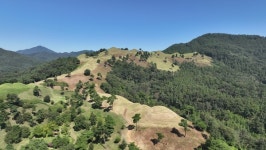 김선권 여행작가 고령 지산동 고분군... 대가야 문화 생생, 500년의 숨결 살아있어