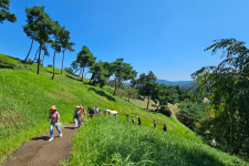 김선권 여행작가 고령 지산동 고분군... 대가야 문화 생생, 500년의 숨결 살아있어