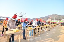 청송사과, 찬란한 금빛 향연, 내달 1∼5일 펼쳐진다