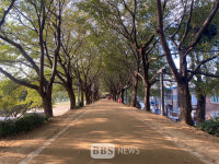 대구 동구, 금호강변에 맨발산책로 조성
