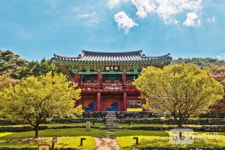 김선권 여행작가 한국의 서원 대구 도동서원…예를 강조한 환주문