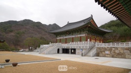 팔공산 도림사, 도림당 법전 대종사 9주기 추모다례재 봉행