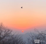 부산 곳곳서 해넘이.해맞이 행사