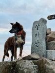 해남 미황사 새해 日出 다함께.. 해맞이 템플스테이
