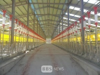 경북도, 축사 현대화·ICT 융복합사업에 253억 투입