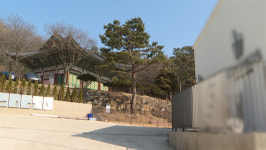 사찰 옆 애견카페 수행환경 침해 논란