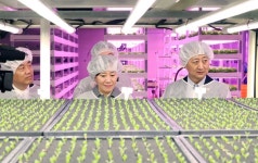 정부, 산업단지에도 수직농장 입주 가능