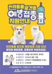 서귀포시, 광견병 예방접종 지원 추진