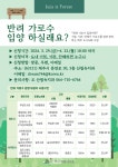 제주도민들이 가로수를 직접 돌봐요