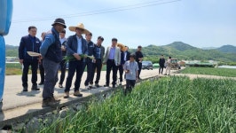 [포토뉴스]서효원 농촌진흥청 차장, 경남 함양군 양파 생육 점검